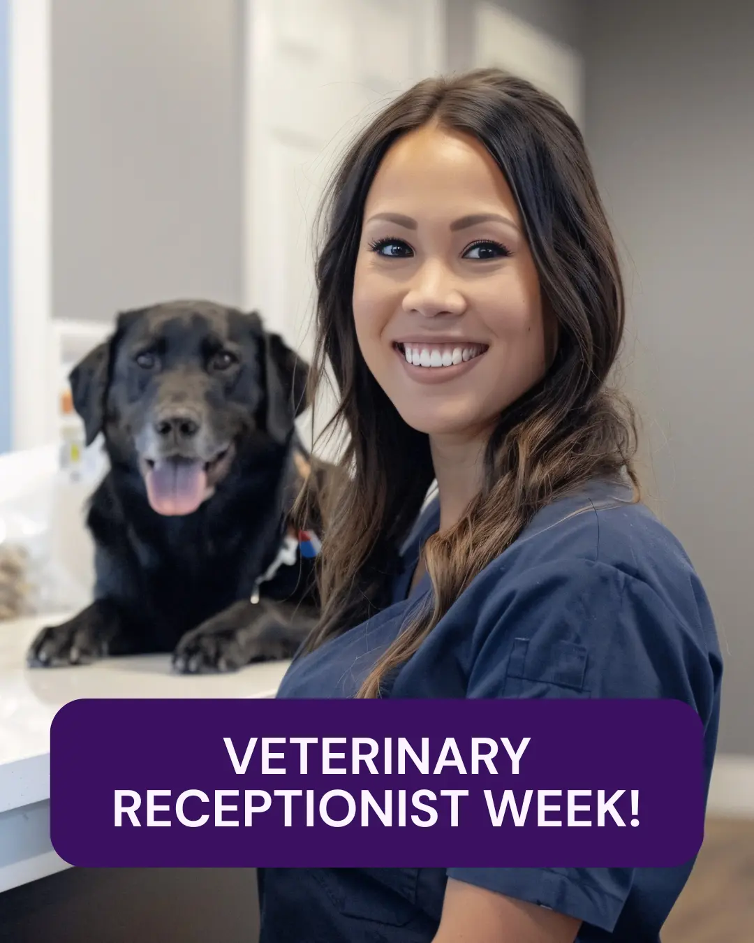 Vetstoria April monthly freebies blog 6