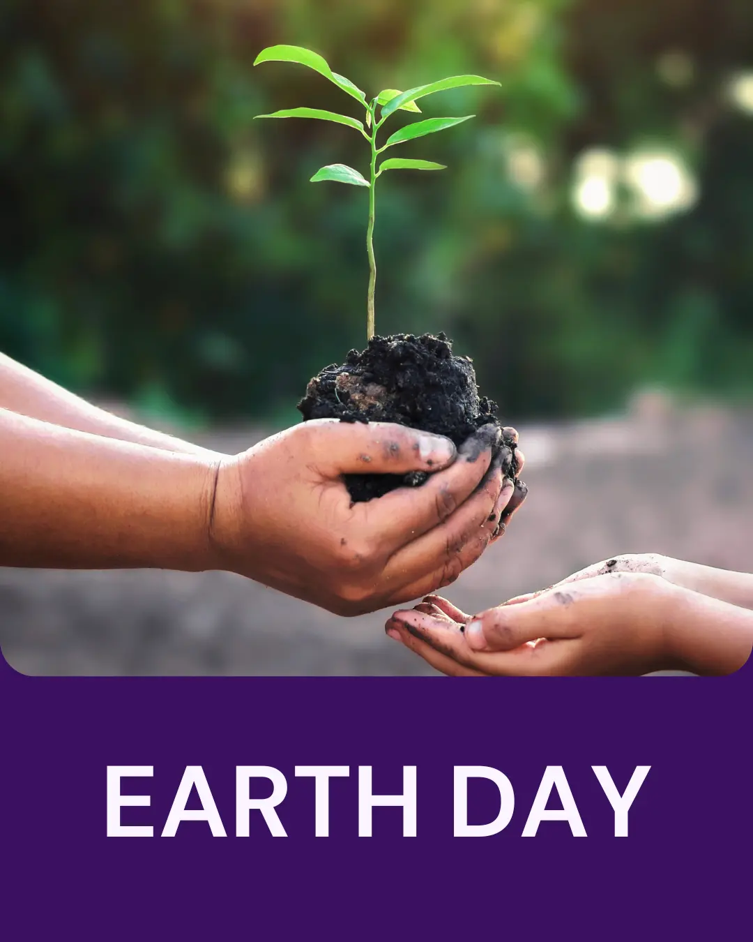 Vetstoria April monthly freebies blog 7