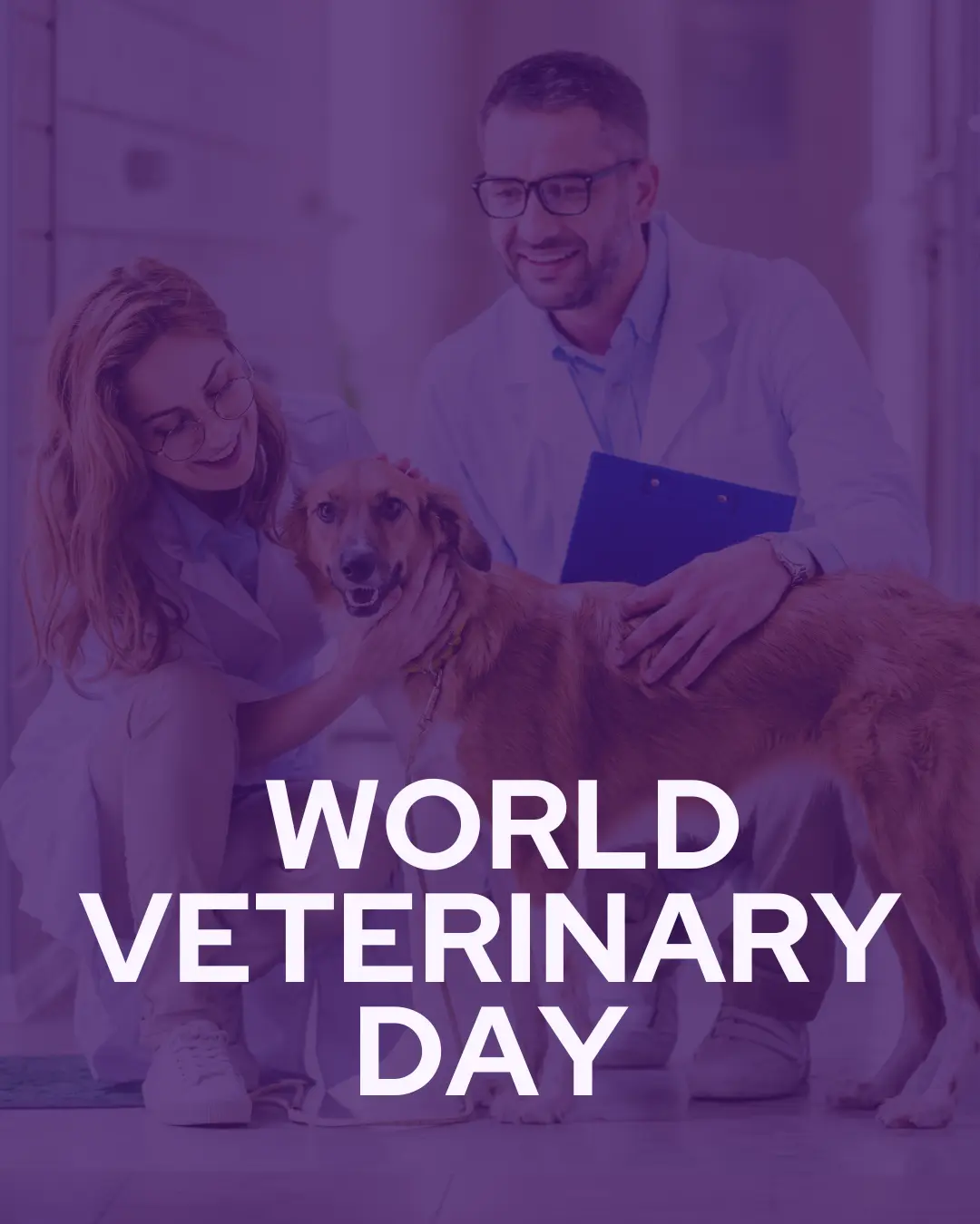 Vetstoria April monthly freebies blog 8