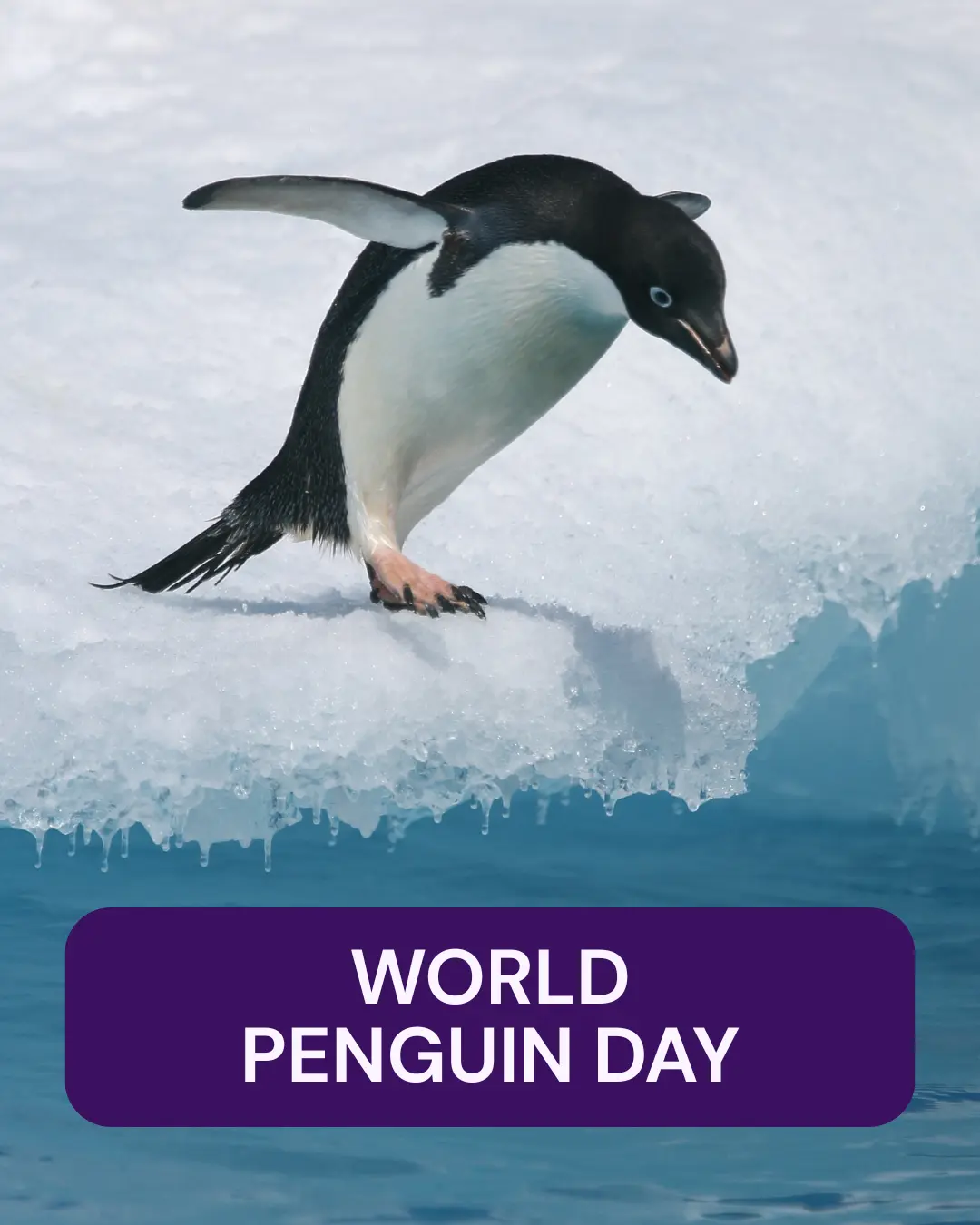 Vetstoria April monthly freebies blog 9