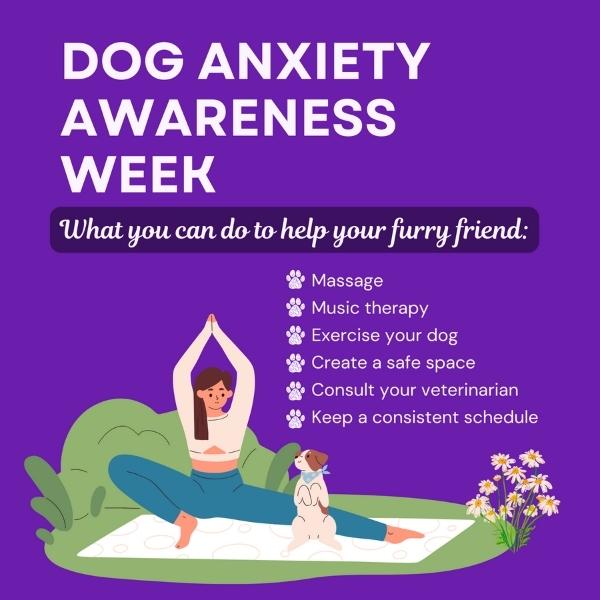 Dog Anxiety Awareness Week May Vetstoria freebies