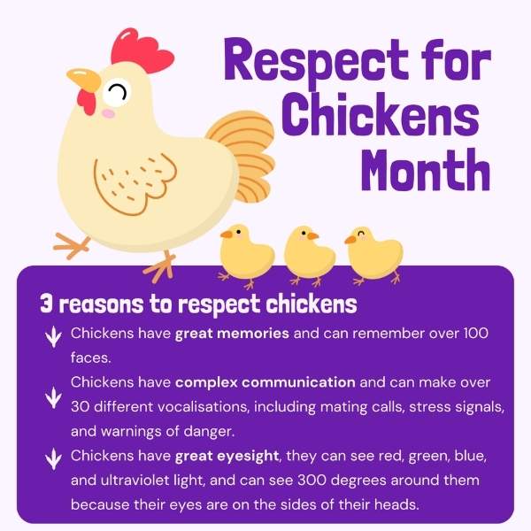 International Respect for Chickens Month May Vetstoria freebies