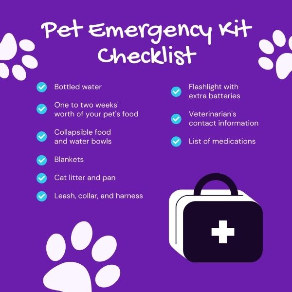 National Animal Disaster Preparedness Day Mat Vetstoria freebies