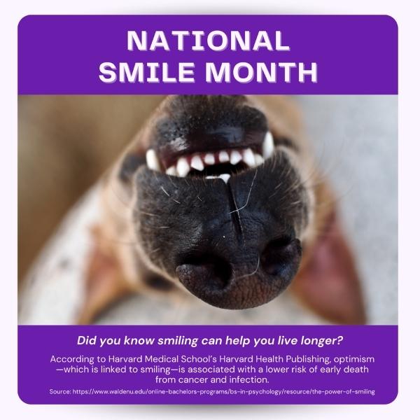 National Smile Month May Vetstoria freebies