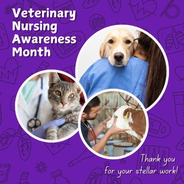 Veterinary Nursing Awareness Month Vetstoria freebies May
