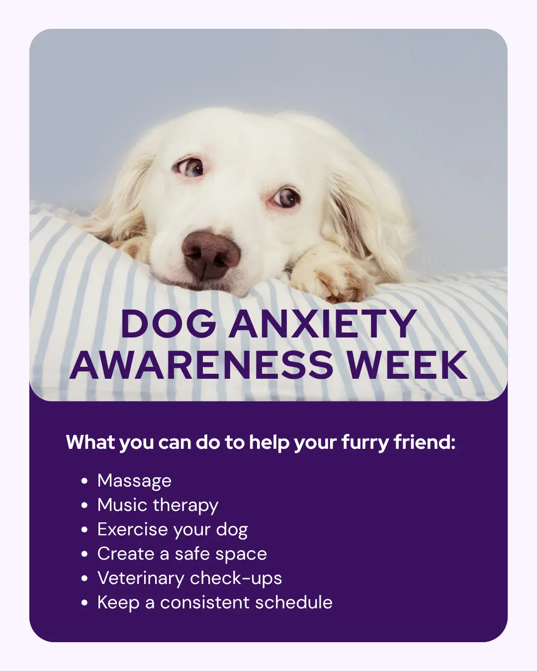 Vetstoria - Veterinary marketing ideas and social media graphics for May 10