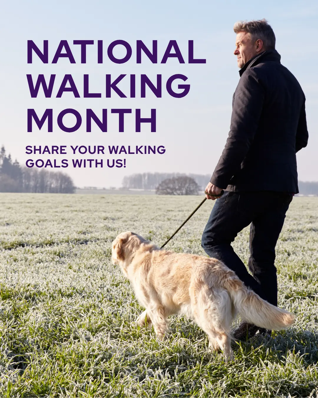 Vetstoria - Veterinary marketing ideas and social media graphics for May 2