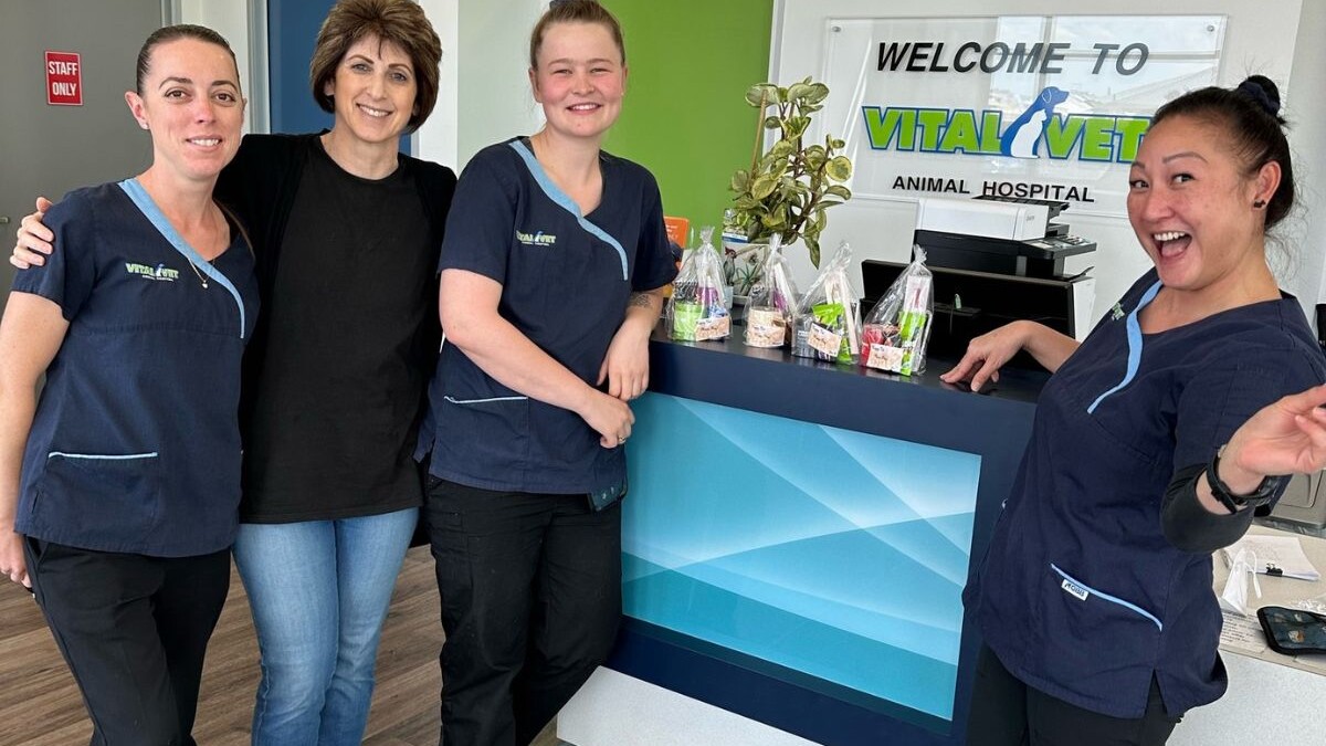 Vital Vet Animal Hospital Australia Case Study Vetstoria