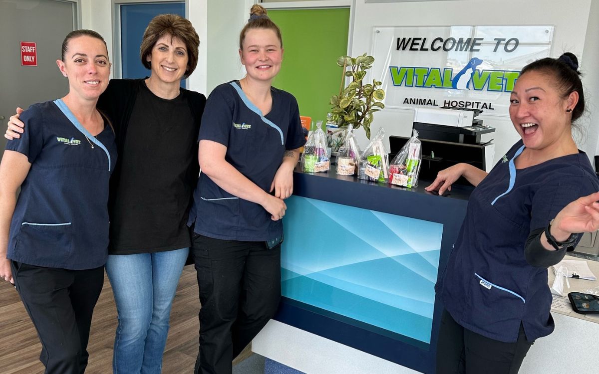 Vital Vets
