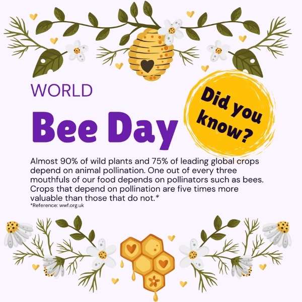 World Bee Day May Vetstoria freebies