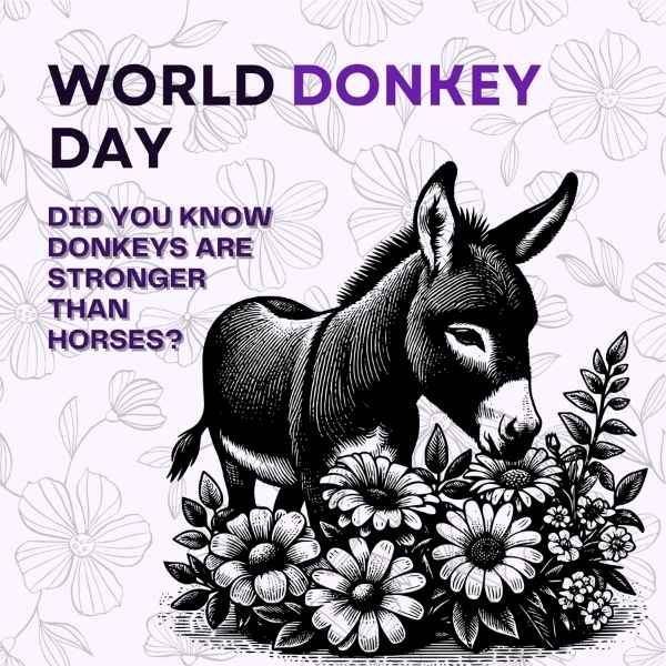 World Donkey Day May Vetstoria freebies