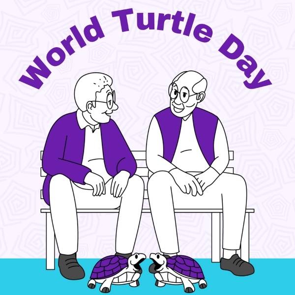 World Turtle Day May Vetstoria freebies