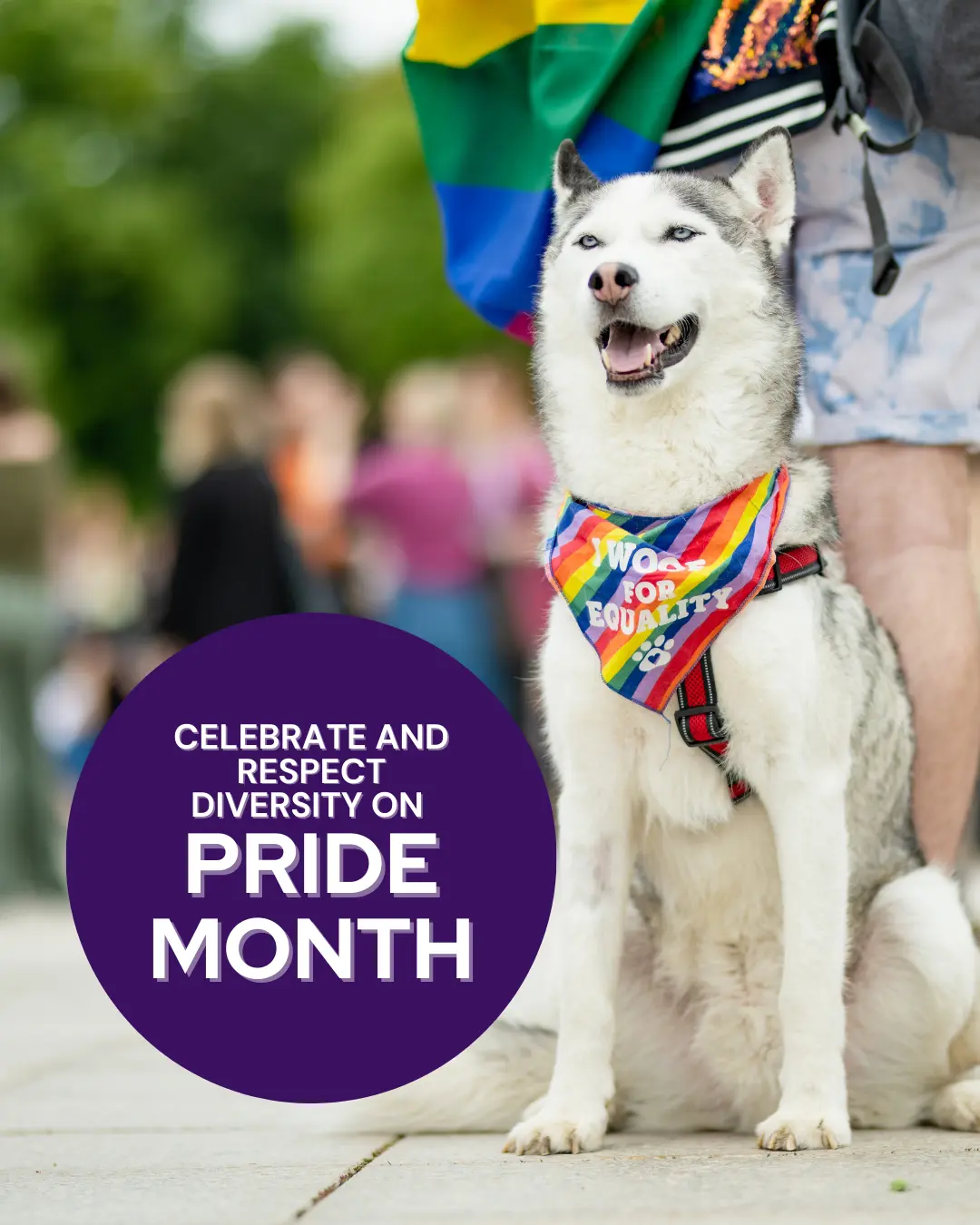 June veterinary marketing freebies - Vetstoria 1