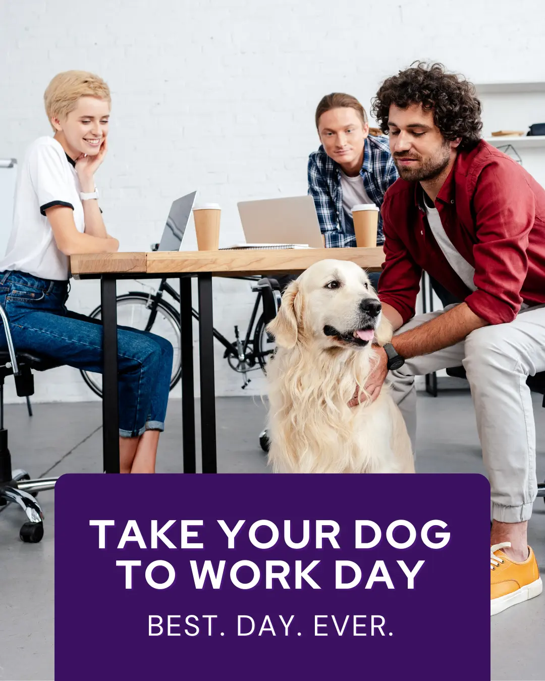 June veterinary marketing freebies - Vetstoria 10
