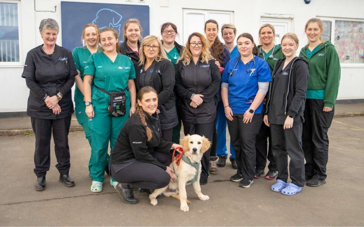 VetPartners Westway Veterinary Group