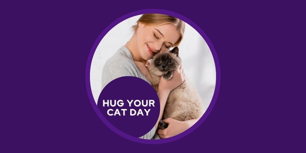 Veterinary Marketing Ideas for June UK EU - Vetstoria