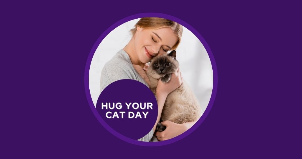 Veterinary Marketing Ideas for June UK EU - Vetstoria