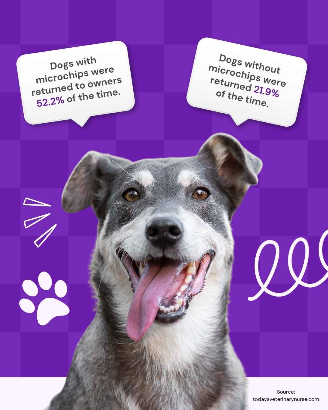 Vetstoria June freebies National Microchipping Month
