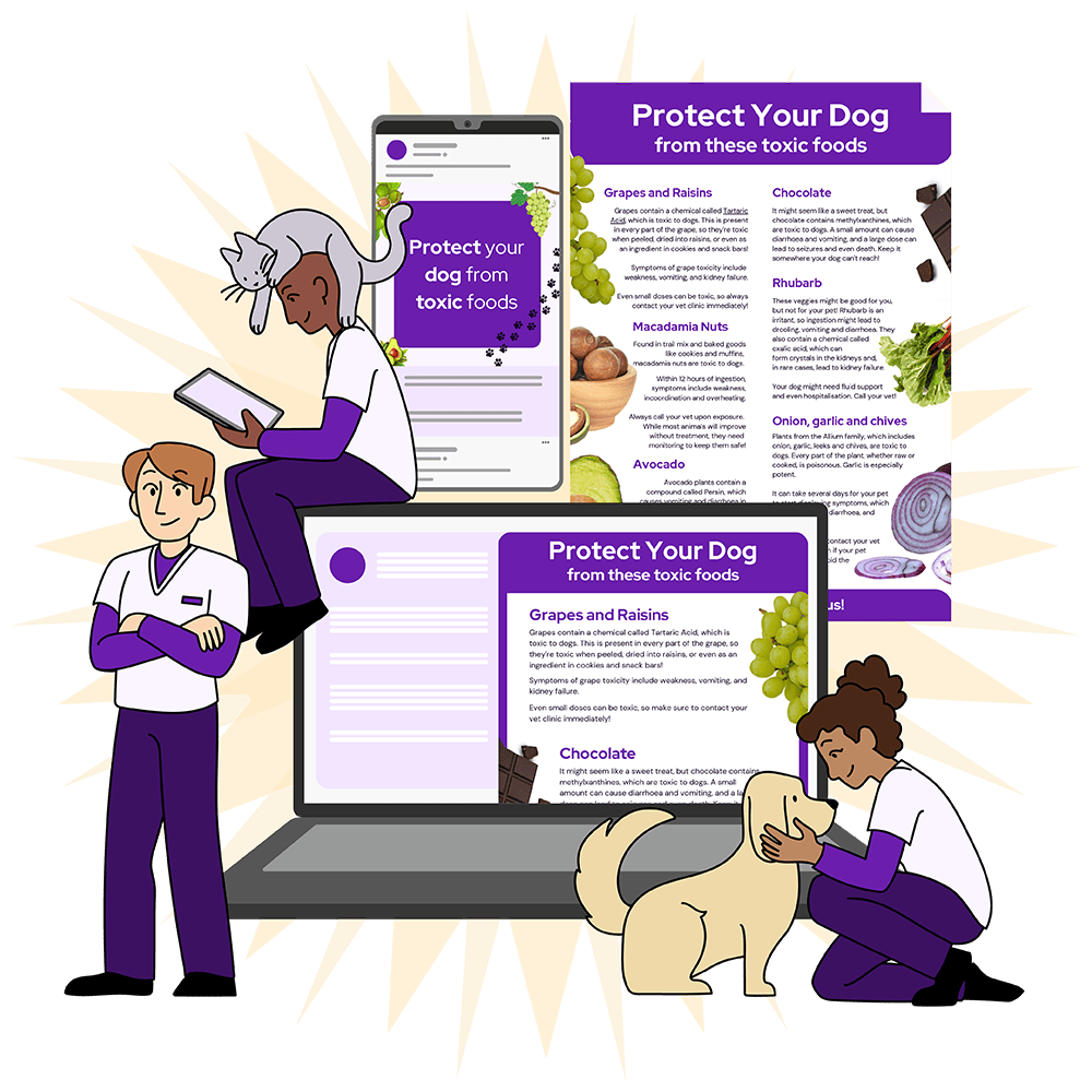 Vetstoria content packs