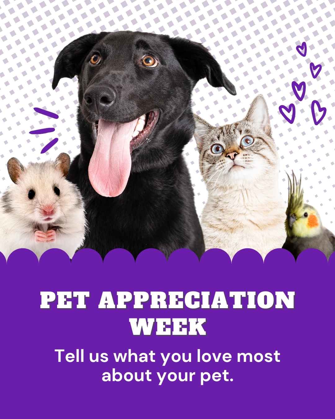 Vetstoria june freebies National Pet Appreciation Week