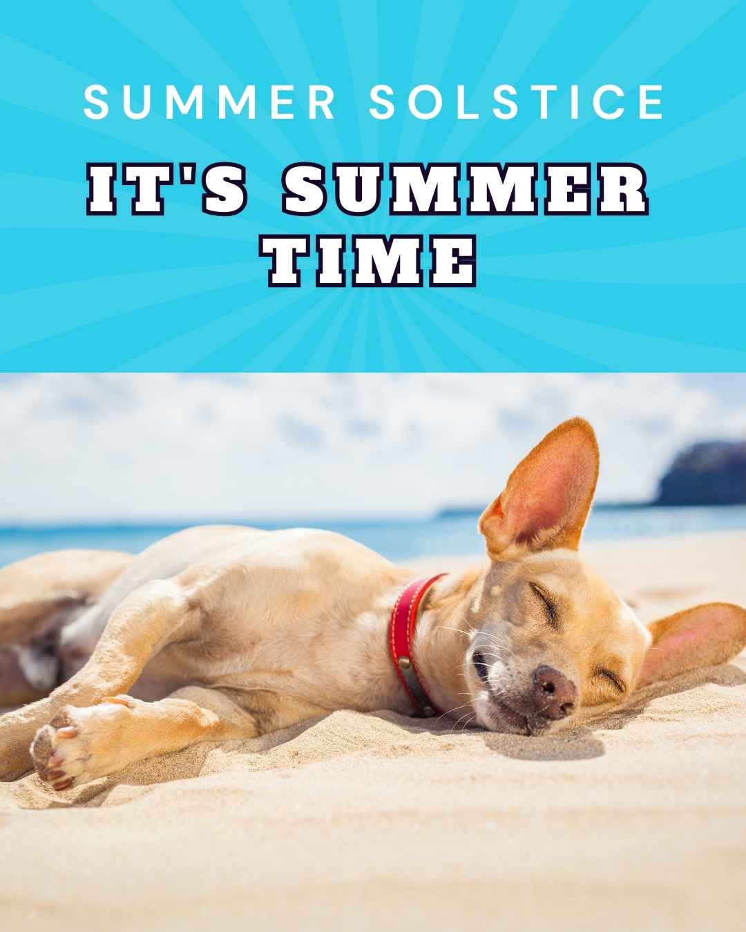 Vetstoria june freebies Summer Solstice