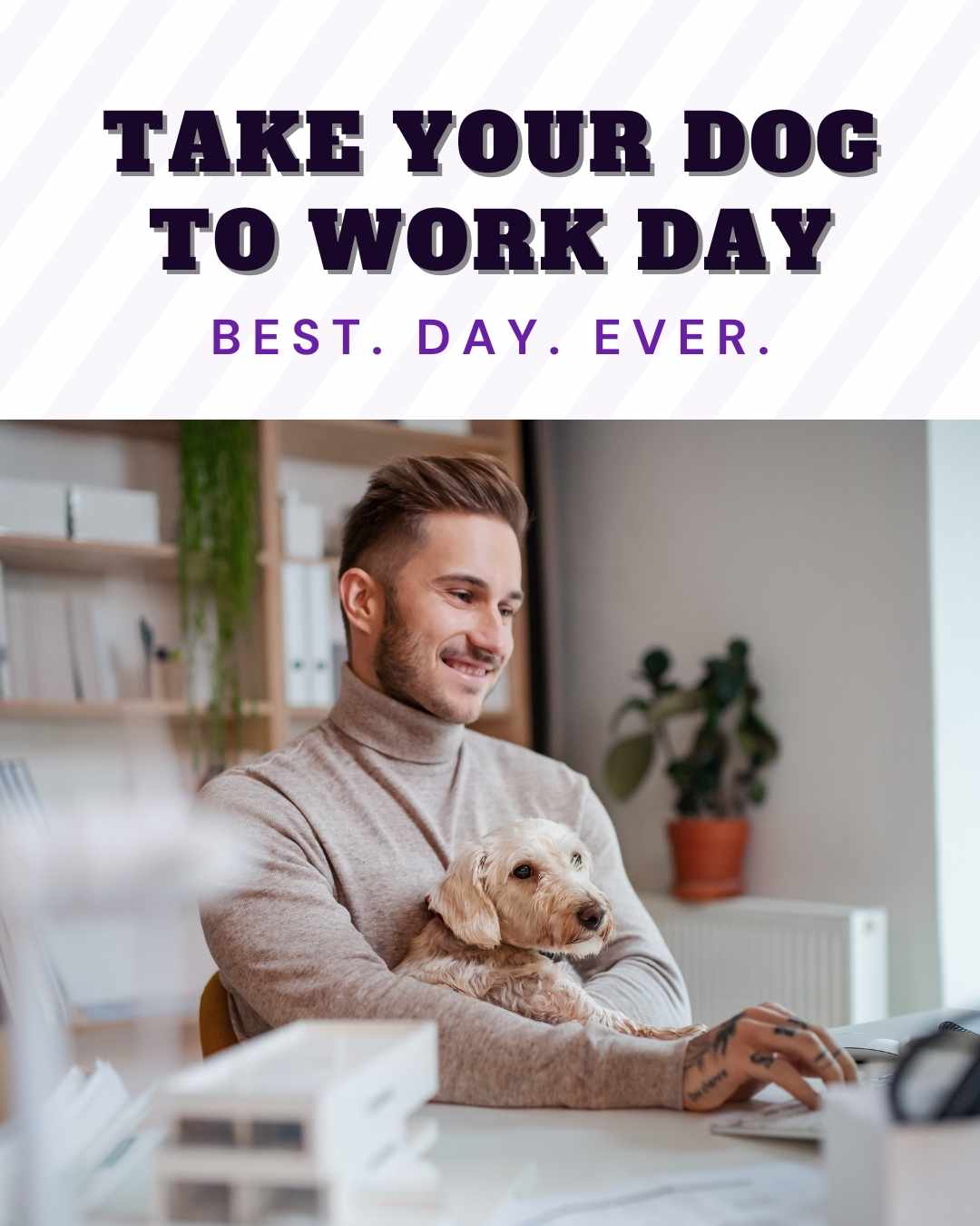 Vetstoria june freebies Take Your Dog to Work Day