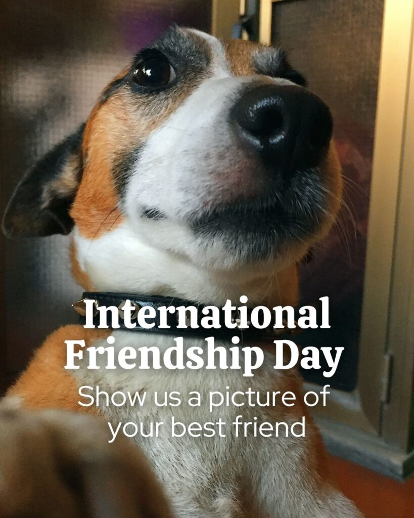International Friendship Day freebies Vetstoria