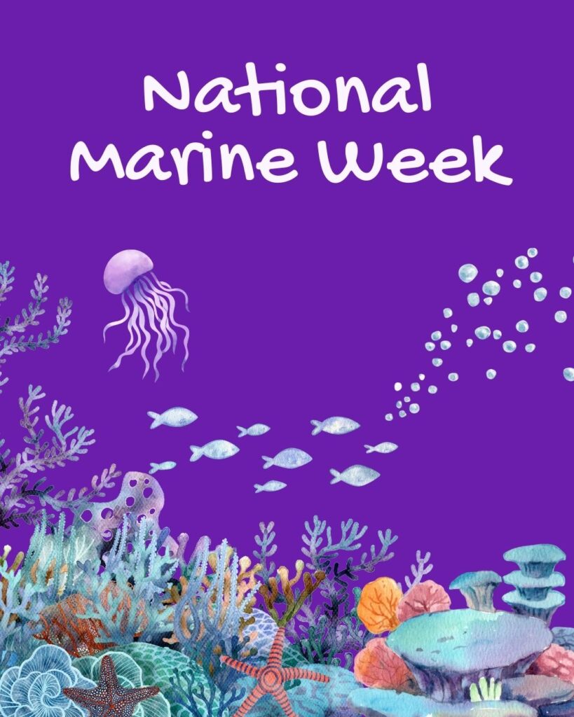 National Marine Week July freebies Vetstoria