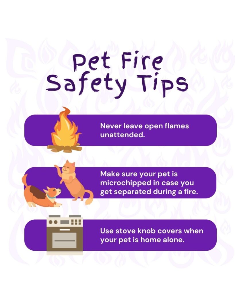 Pet Fire Safety Tips July freebies Vetstoria