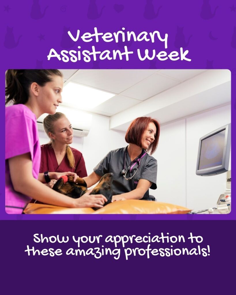 Veterinary Assistant Week July freebies Vetstoria