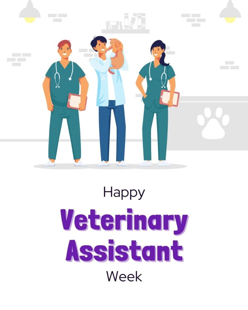 Veterinary Assistant Week July freebies Vetstoria