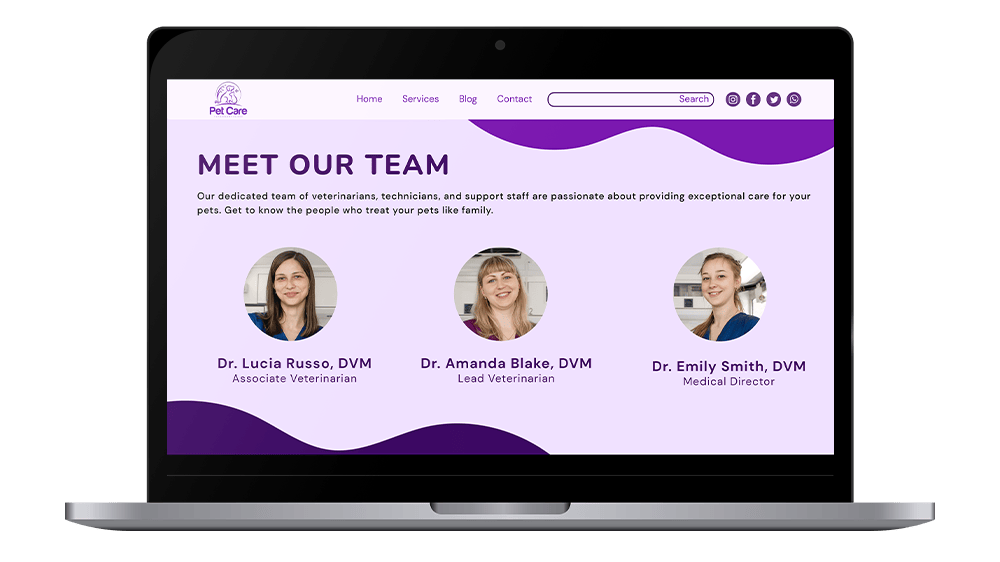 Vetstoria Websites - meet the team page mockup