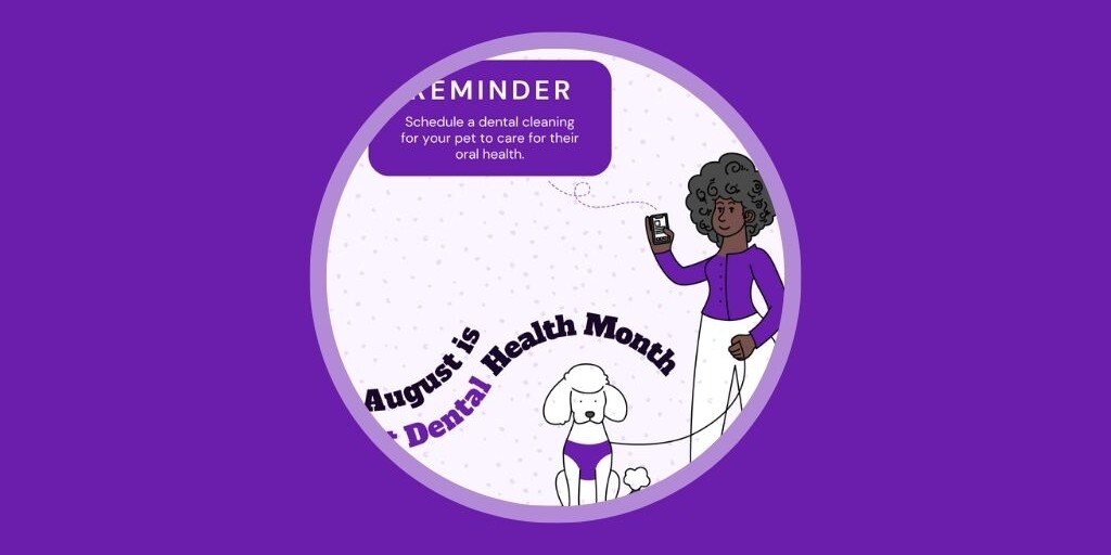 Australia Edition 9 Veterinary Marketing Ideas for August