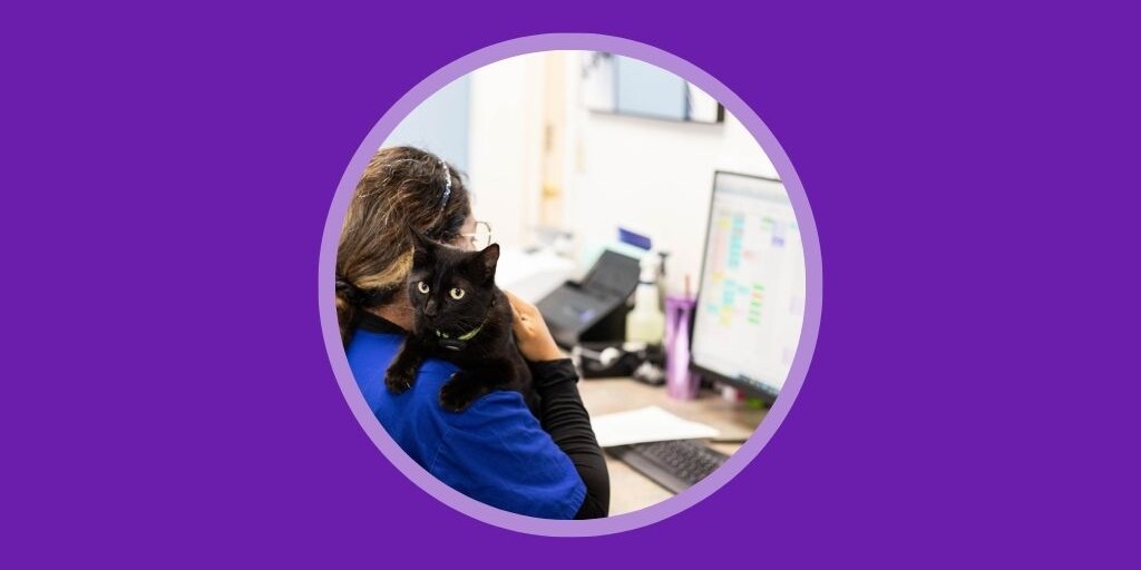 How to Improve Veterinary Client Communication Without Adding to your Staff’s To-Do List Vetstoria Blog