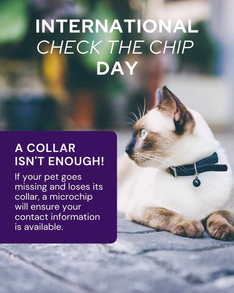 International Check the Chip Day (1)