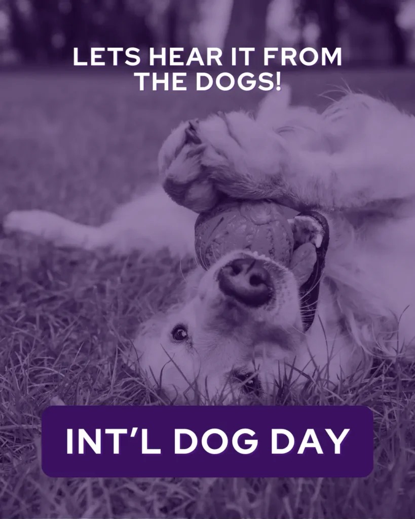 International Dog Day