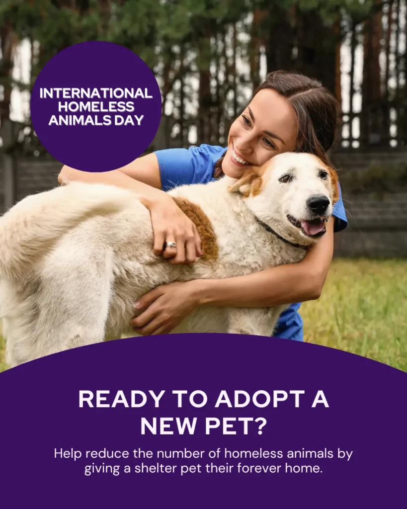 International Homeless Animals Day