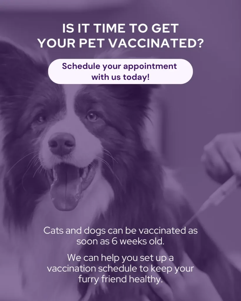 National Immunisation Awareness Month