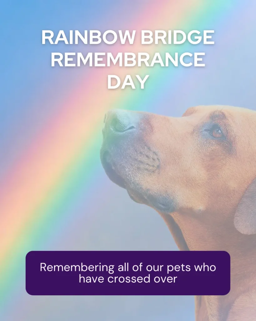 Rainbow Bridge Remembrance Day