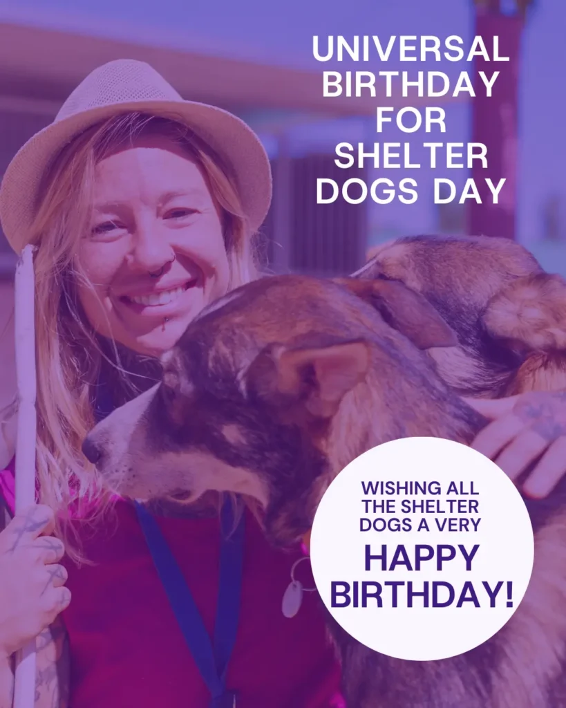 Universal Birthday for Shelter Dogs