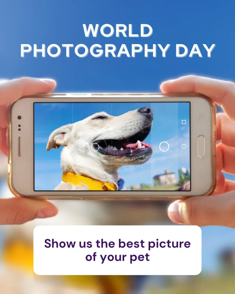 World Photography Day