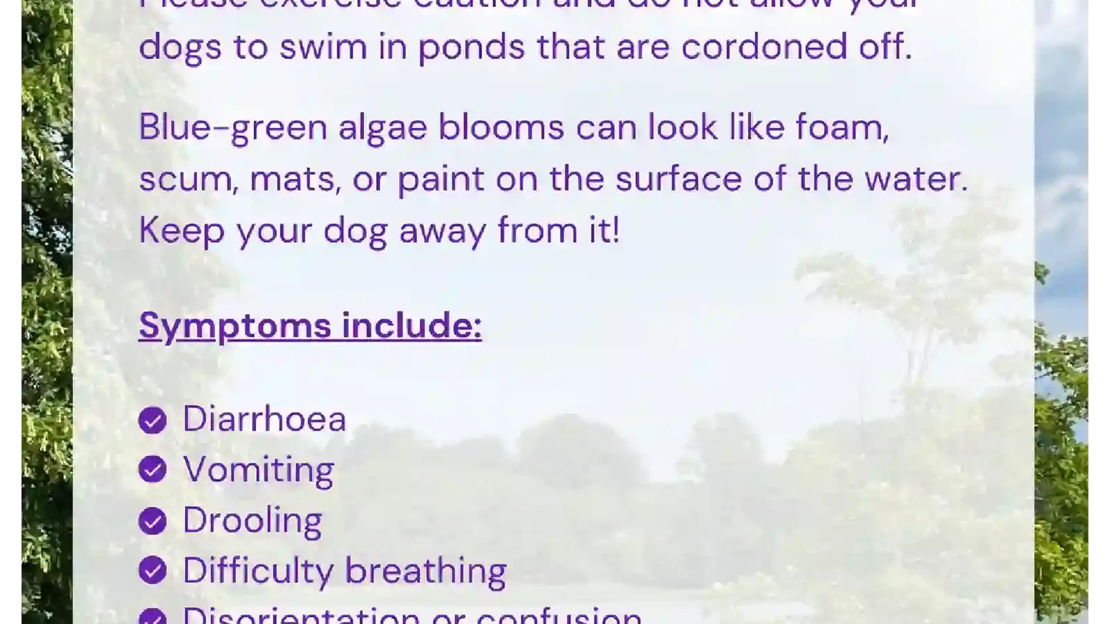 cynobacteria awareness Vetstoria content pack feature image