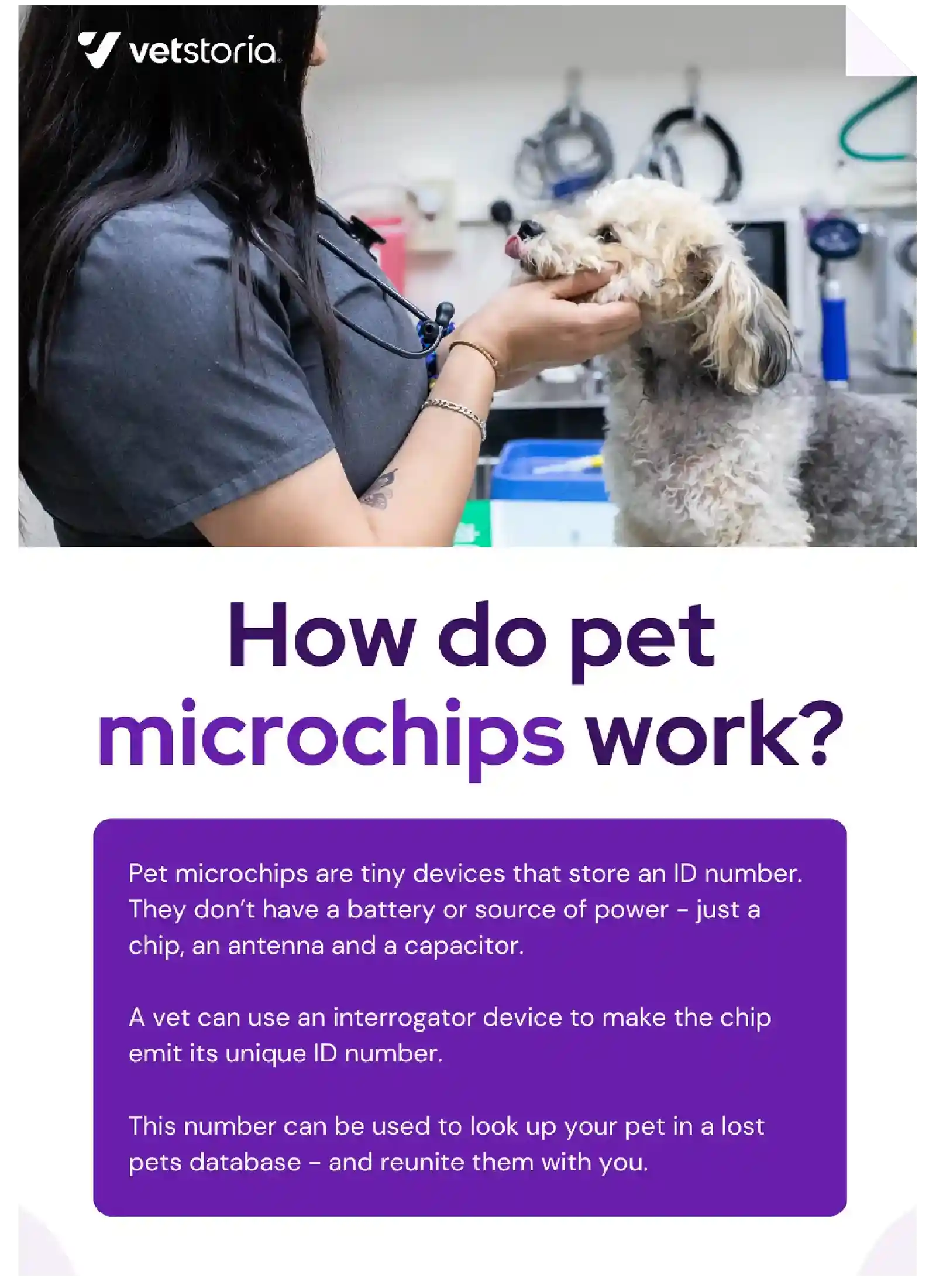 pet microchipping Vetstoria content pack