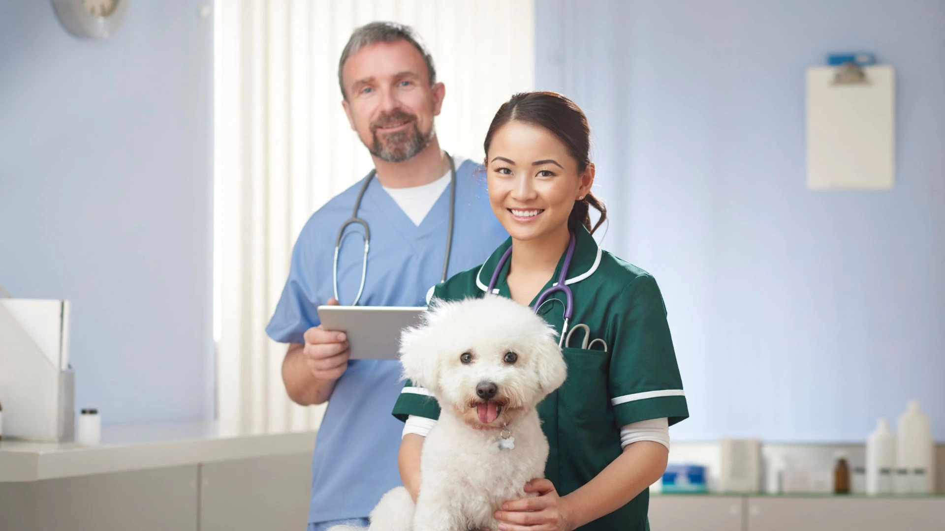 Easing Stress in Veterinary Practices - How Technology Can Help Vetstoria webinar