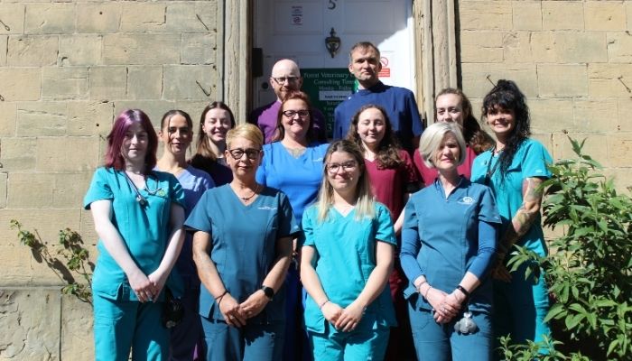 Forest Veterinary Clinic - Vetstoria case study