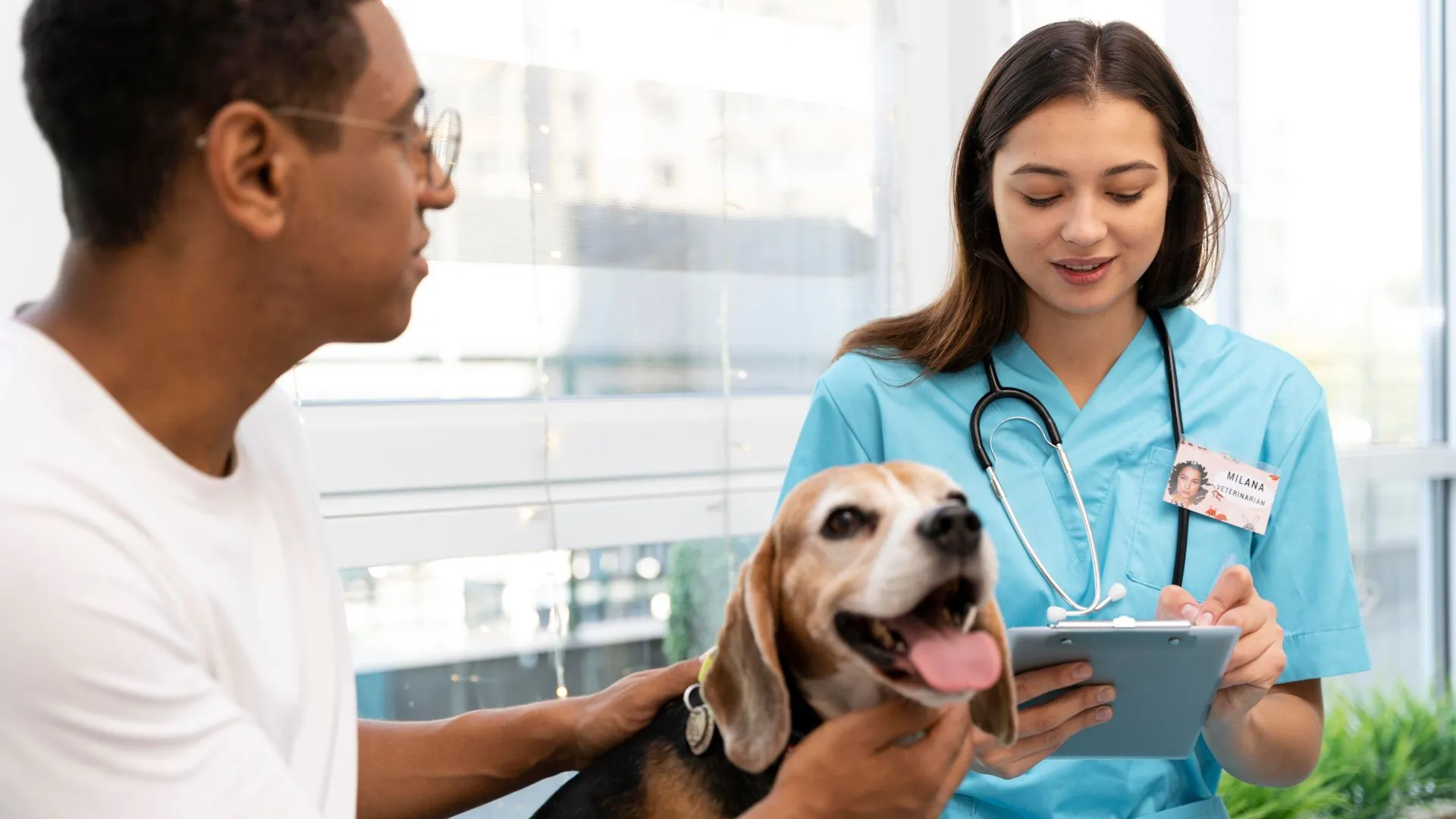 Mastering PCI compliance - how to maximise security and minimise stress Vetstoria webinar feature image