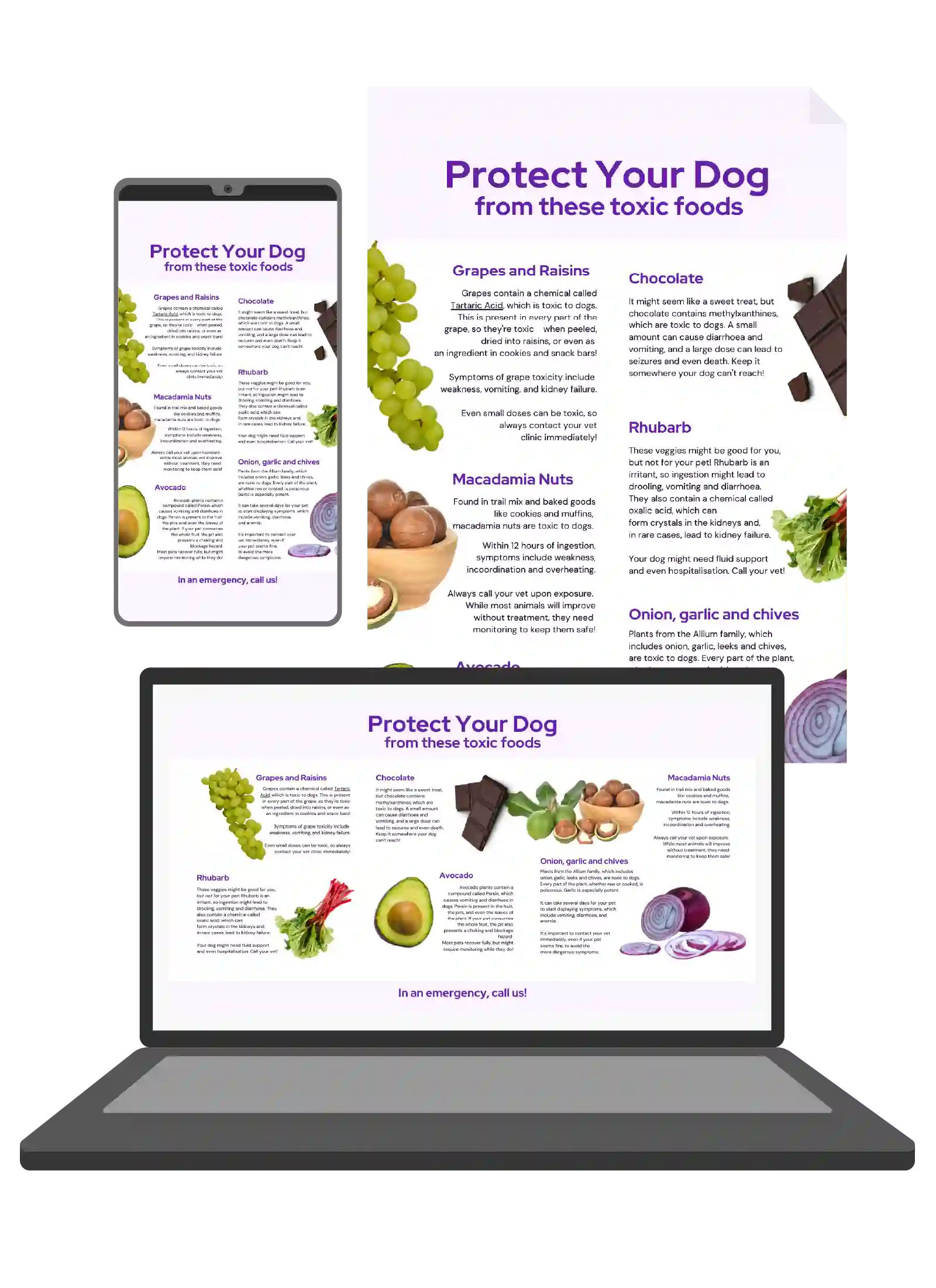 Protect pets from toxic food Vetstoria content pack 02