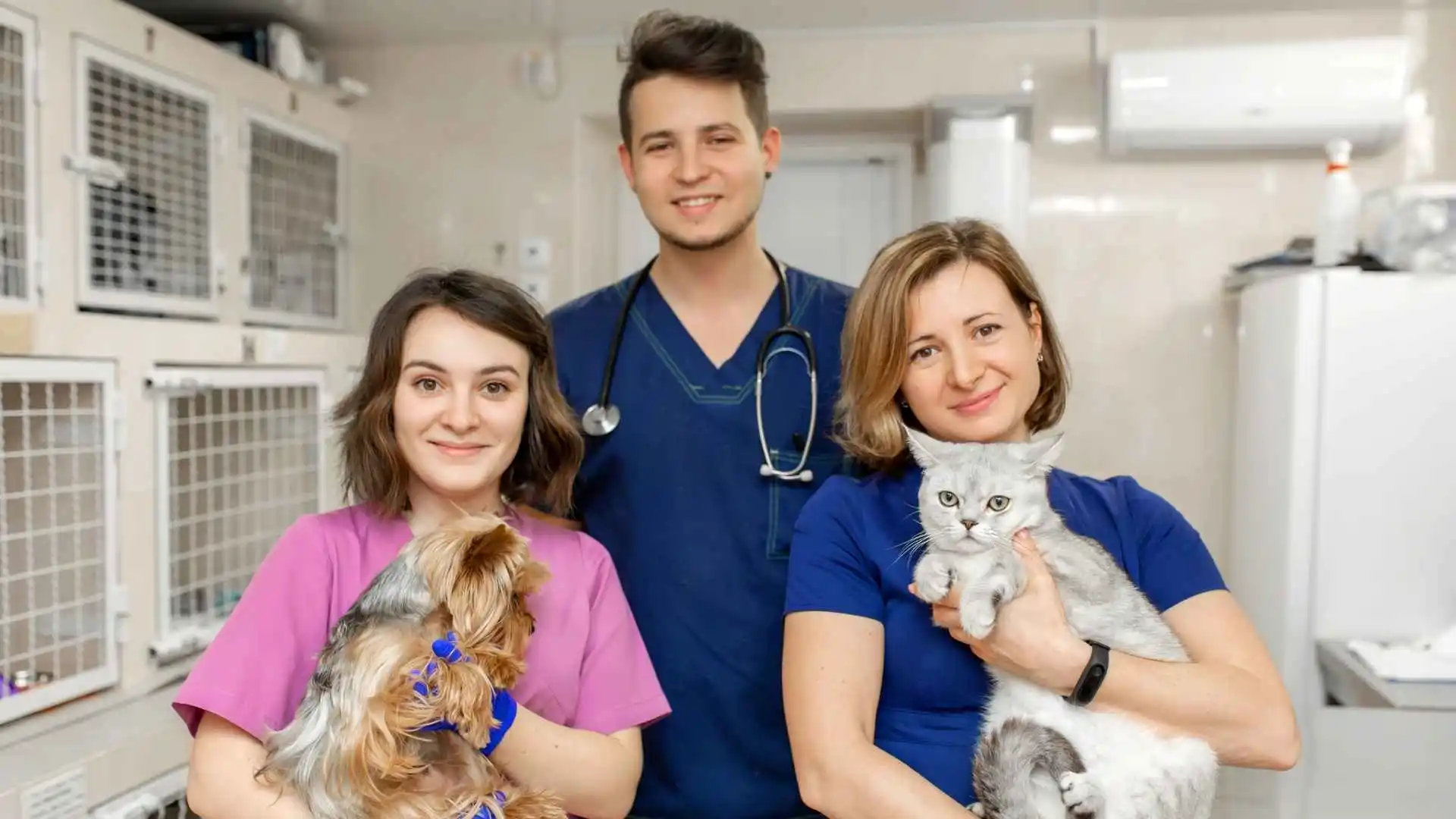 Transform Your Clinic - How Vetstoria Helps Reduce Stress and Streamline Operations Vetstoria webinar