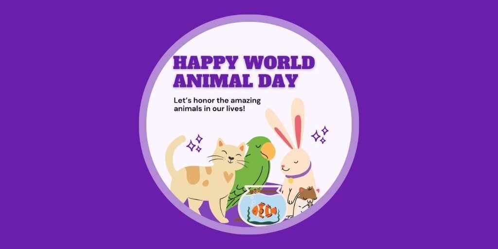 9 Veterinary Marketing ideas for October UK & EU Vetstoria freebies