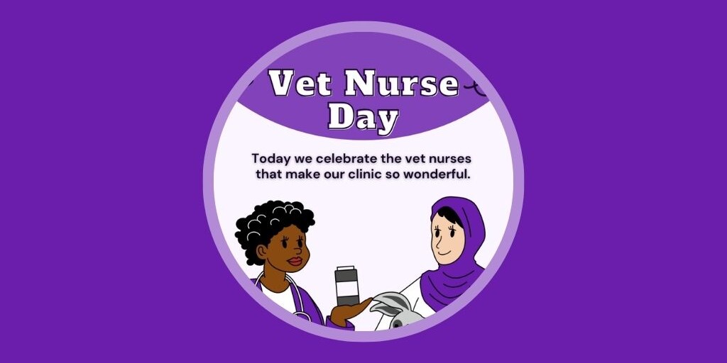 Australia Edition 7 Veterinary Marketing Ideas for October Vetstoria Freebies